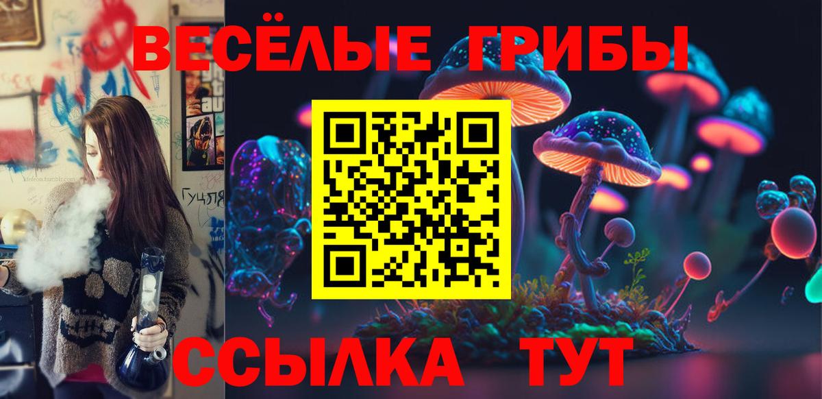 Псилоцибиновые грибы Psilocybe Видное