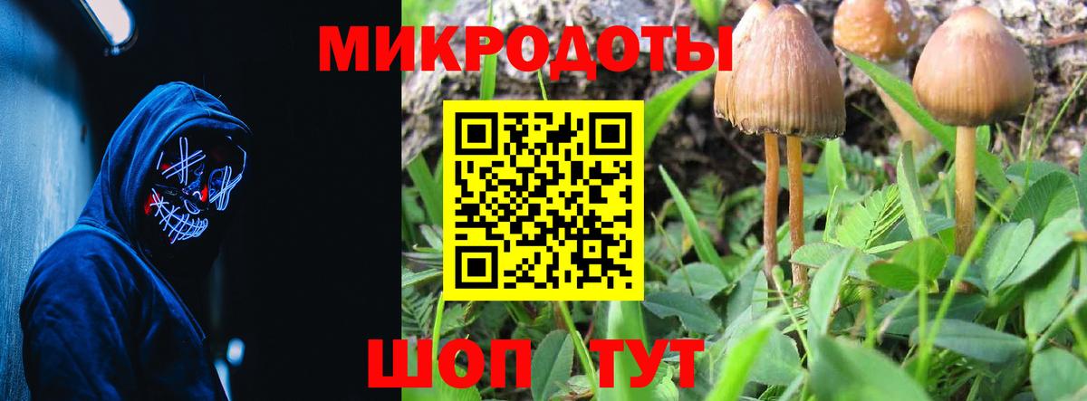 Галлюциногенные грибы MAGIC MUSHROOMS  Псилоцибиновые грибы прущие грибы  Вход с VPN  Видное 